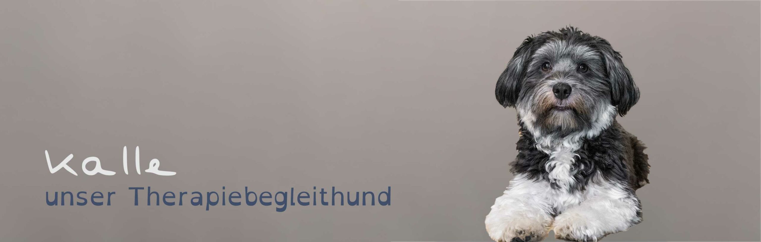Kalle, unser erster Therapiebegleithund