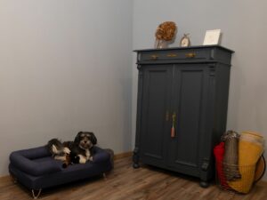 Kalles Platz im Behandlungsraum