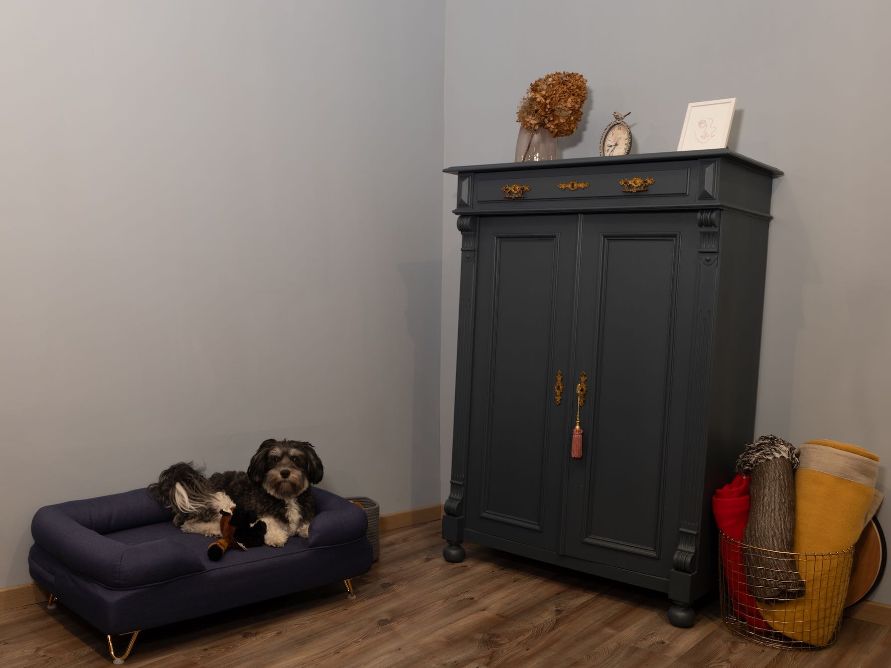 Kalles Platz im Behandlungsraum